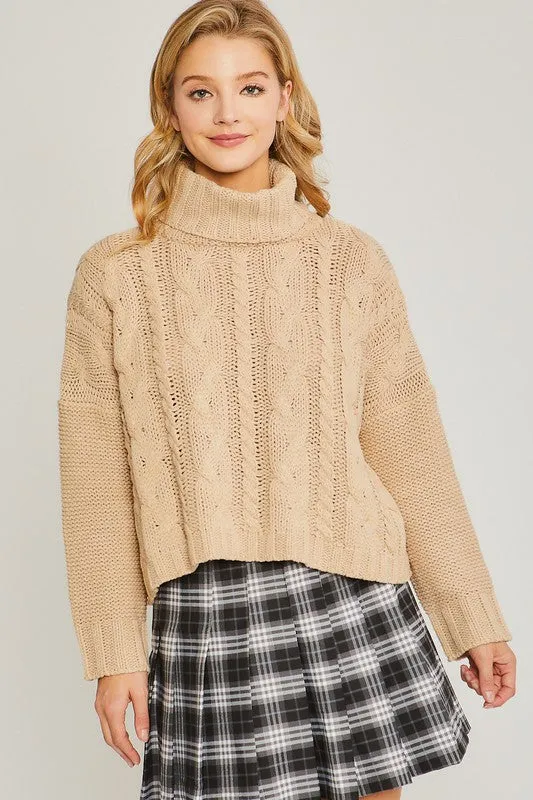 Turtle Neck Cable Knit Sweater in  Oatmeal and Pink