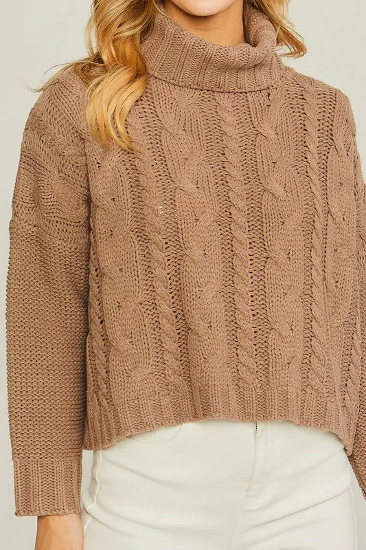 Turtle Neck Cable Knit Sweater in  Oatmeal and Pink